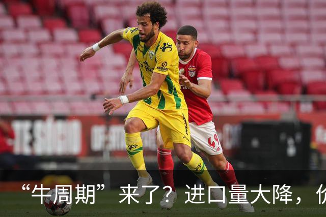“牛周期”来了？进口量大降，价格走高，概念股稀缺