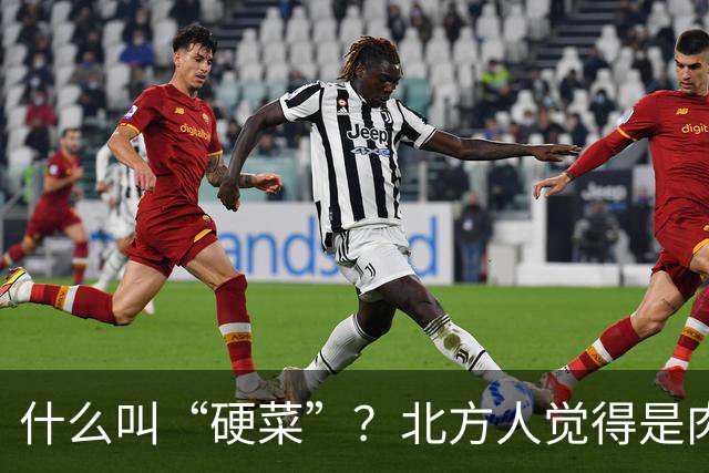 什么叫“硬菜”？北方人觉得是肉，南方人觉得是海鲜，广东人觉得是汤