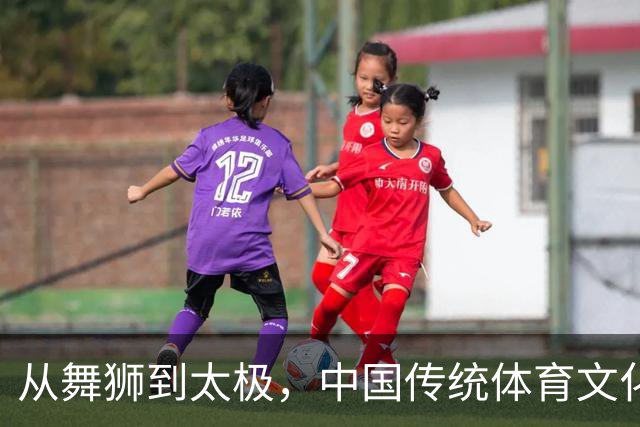 从舞狮到太极，中国传统体育文化在匈牙利“活”起来-国际在线