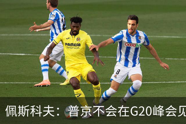 佩斯科夫：普京不会在G20峰会见泽连斯基