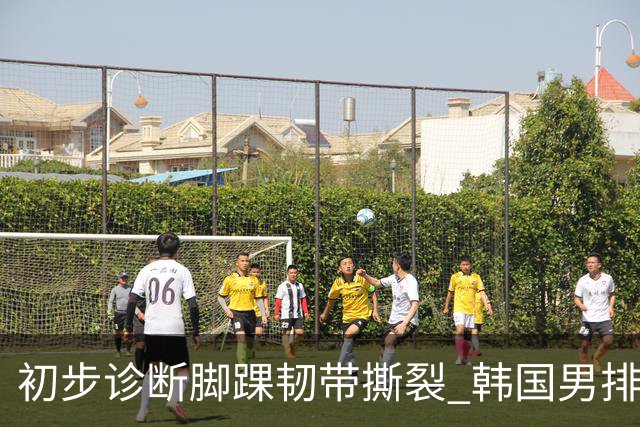 初步诊断脚踝韧带撕裂 韩国男排主帅投诉亚运主办方 提到中国男排