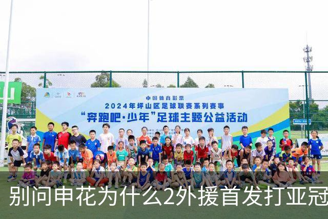 别问申花为什么2外援首发打亚冠二级赛 回答就是伤病 抽调 红牌 解约