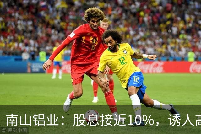南山铝业：股息接近10%，诱人高分红之下藏哪些不易察觉的隐患？