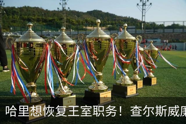 哈里想恢复王室职务！查尔斯威廉态度一致：不可能，绝不会恢复