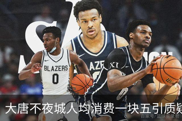 大唐不夜城人均消费一块五引质疑