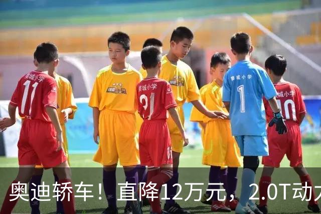奥迪轿车！直降12万元，2.0T动力