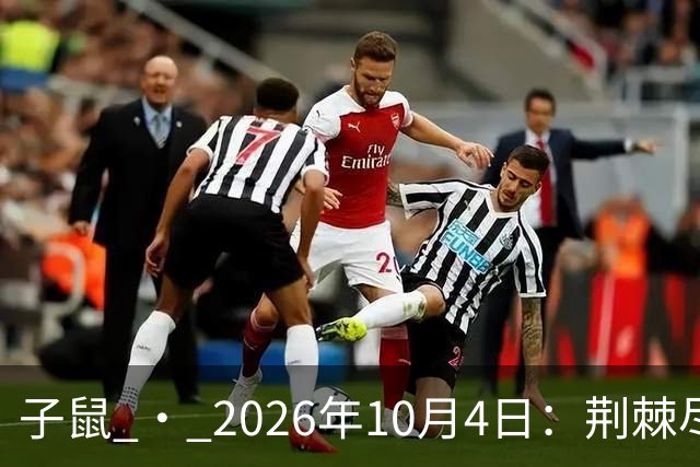 子鼠 · 2026年10月4日：荆棘尽处见星曜，厚土终将载丰年
