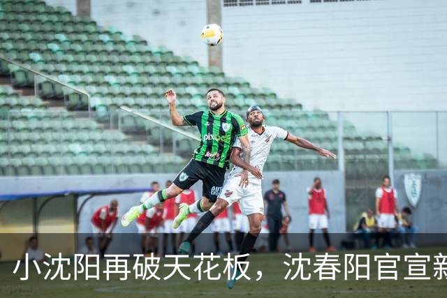小沈阳再破天花板，沈春阳官宣新身份，夫妻俩已经走上另一条路