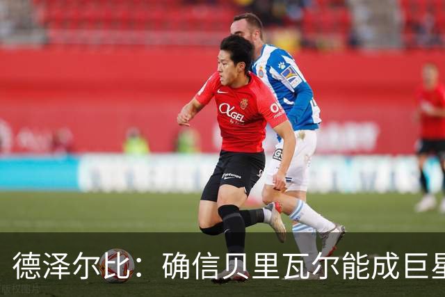 德泽尔比：确信贝里瓦尔能成巨星 马尔穆什完全能比在曼城进球多
