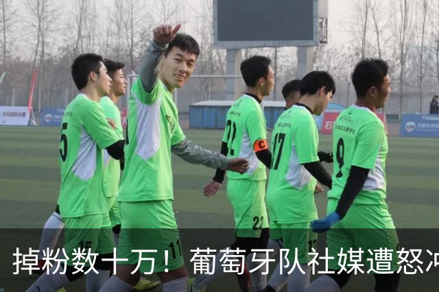 掉粉数十万！葡萄牙队社媒遭怒冲：向C罗道歉 若没他谁关注国家队