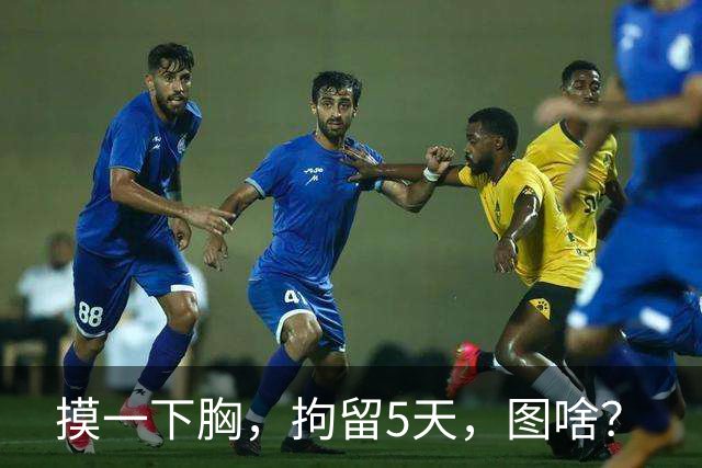 摸一下胸，拘留5天，图啥？
