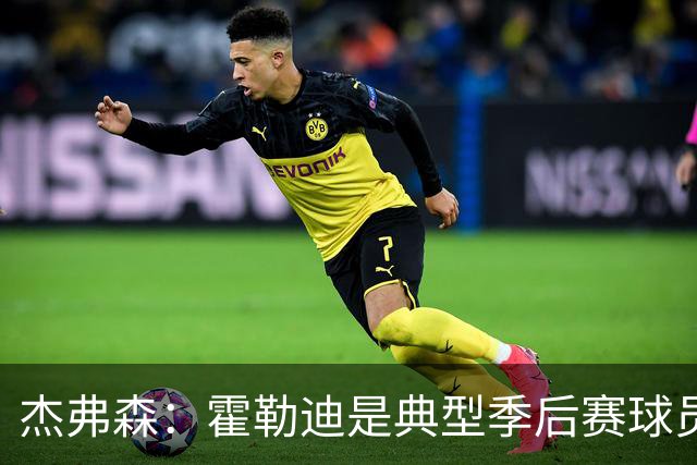 杰弗森：霍勒迪是典型季后赛球员 他可能统治不了比赛但绝对不弱