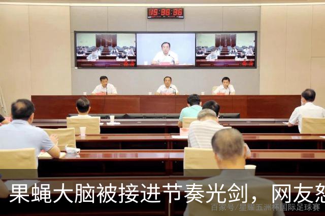 果蝇大脑被接进节奏光剑，网友怒斥数字虐待