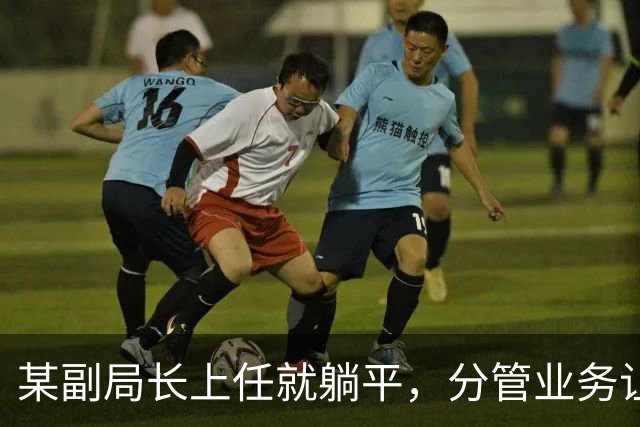 某副局长上任就躺平，分管业务让股长“代管”3年，被处理