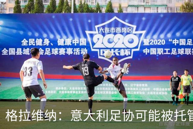 格拉维纳：意大利足协可能被托管？这不是值得骄傲的事情