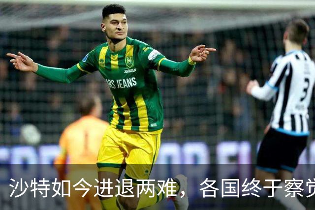 沙特如今进退两难，各国终于察觉到不对头，原来中方早有预见