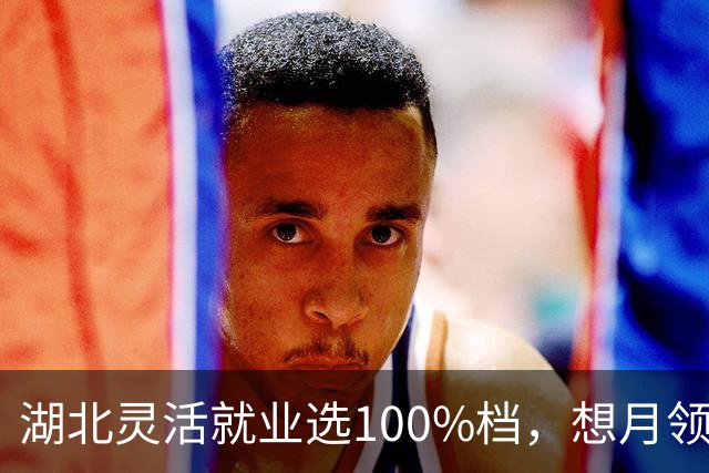 湖北灵活就业选100%档，想月领4000，要交多少年？算完别拍桌子