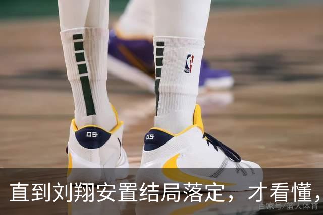 直到刘翔安置结局落定，才看懂，姚明15年前退役时的选择何其清醒