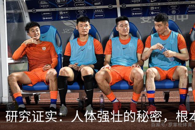 研究证实：人体强壮的秘密，根本不是肌肉！而是这几样东西