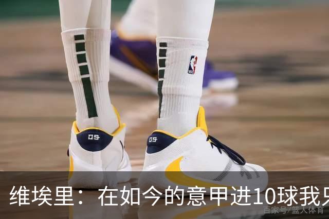 维埃里：在如今的意甲进10球我只需8场 赛季进15球就是失败