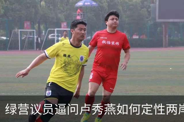 绿营议员逼问卢秀燕如何定性两岸关系，卢讲不出“两岸同属一中”！