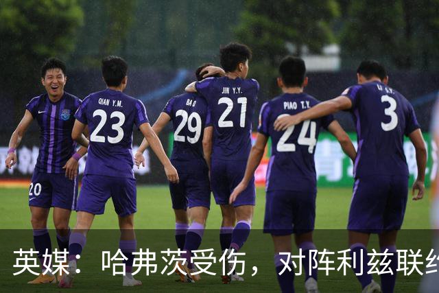 英媒：哈弗茨受伤，对阵利兹联约克雷斯有望迎来首发