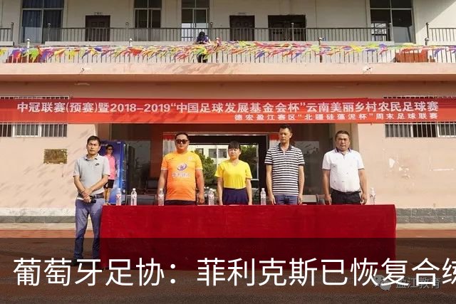 葡萄牙足协：菲利克斯已恢复合练；C罗没有参加训练