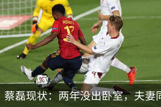 蔡磊现状：两年没出卧室，夫妻同城却基本不见，妻子专职带货