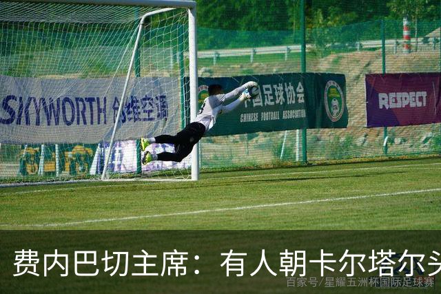 费内巴切主席：有人朝卡尔塔尔头上扔瓶子，事先不知道他辞职