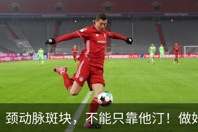颈动脉斑块，不能只靠他汀！做好这 4 点，稳住斑块防脱落