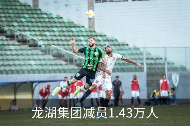 龙湖集团减员1.43万人