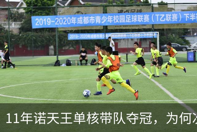11年诺天王单核带队夺冠，为何次年首轮被横扫？诺维斯基表现如何