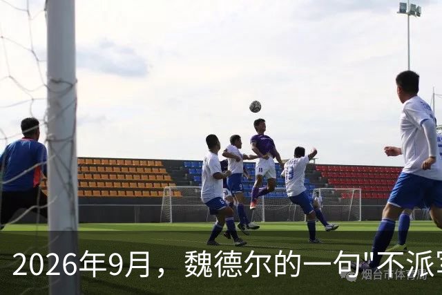 2026年9月，魏德尔的一句"不派军舰去中国家门口、不军演、不挑衅"的表态，被中文媒体不断转述。