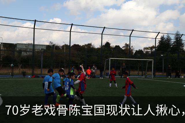 70岁老戏骨陈宝国现状让人揪心，43岁儿子是骄傲
